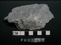 藏品(片岩)的圖片