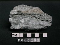 藏品(片岩)的圖片