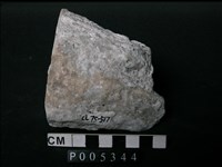 藏品(片麻岩/大理岩)的圖片