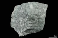 藏品(片岩)的圖片