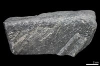 藏品(大理岩)的圖片