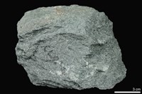 藏品(片岩)的圖片