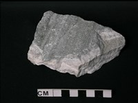 藏品(大理岩)的圖片