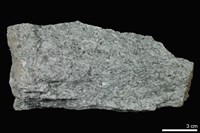 藏品(片岩)的圖片