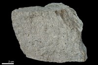 藏品(大理岩)的圖片