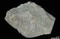 藏品(大理岩)的圖片