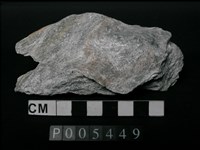 藏品(大理岩)的圖片