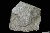 藏品(糜嶺岩)的圖片