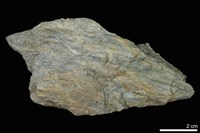 藏品(糜嶺岩)的圖片