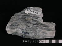 藏品(透閃石片岩)的圖片