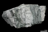 藏品(片岩)的圖片