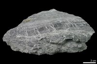 藏品(蛇紋岩)的圖片