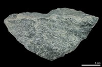 藏品(透閃石片岩)的圖片