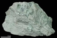 藏品(蛇紋岩)的圖片