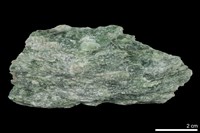 藏品(透閃石片岩)的圖片