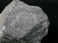 藏品(大理岩)的圖片