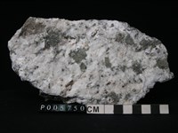 藏品(花崗片麻岩)的圖片