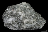 藏品(花崗片麻岩)的圖片