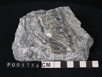 藏品(花崗片麻岩)的圖片