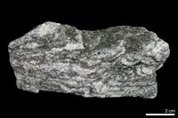 藏品(花崗片麻岩)的圖片