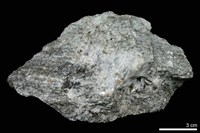 藏品(花崗片麻岩)的圖片