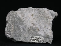 藏品(花崗片麻岩)的圖片