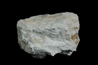 藏品(禾樂石)的圖片