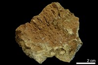 藏品(黃鉀鐵礬)的圖片