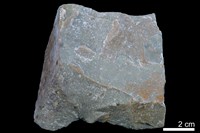 藏品(變質燧石)的圖片