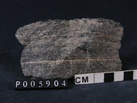 藏品(角閃石-黑雲母片麻岩)的圖片