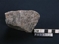 藏品(花崗岩化石英岩)的圖片