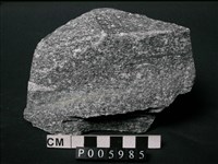 藏品(黑雲母角閃片麻岩)的圖片