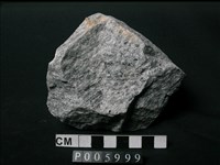 藏品(片麻岩/混合岩)的圖片