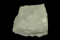 藏品(安山岩)的圖片