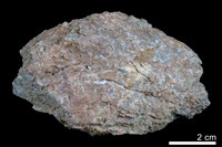 藏品(角礫岩)的圖片