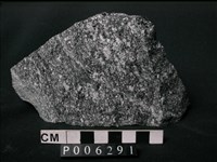 藏品(角閃石-黑雲母片麻岩)的圖片