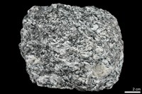 藏品(混合岩)的圖片