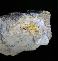 藏品(自然金)的圖片