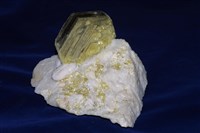 藏品(白雲母)的圖片