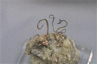 藏品(自然銀)的圖片