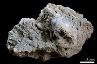 藏品(石灰華)的圖片