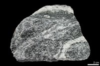 藏品(混合岩)的圖片