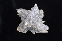 藏品(石膏)的圖片