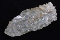 藏品(石膏)的圖片