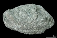 藏品(多矽白雲母片岩)的圖片