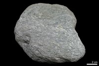 藏品(黑色片岩)的圖片