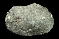 藏品(玻璃質玄武岩)的圖片