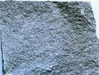 藏品(兩輝安山岩)的圖片