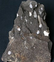 藏品(矽質玄武岩)的圖片