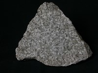 藏品(花崗岩包體)的圖片